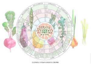 Annual Tropical Planting Guide