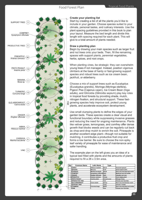 Tropical Food Plants: A Guide To Tropical Food Forests | EBOOK | 150+ plant profiles | step-by-step guide - Image 4